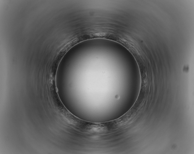 X0000090960555200708161818