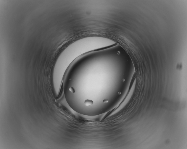 X0000090960556200708161818