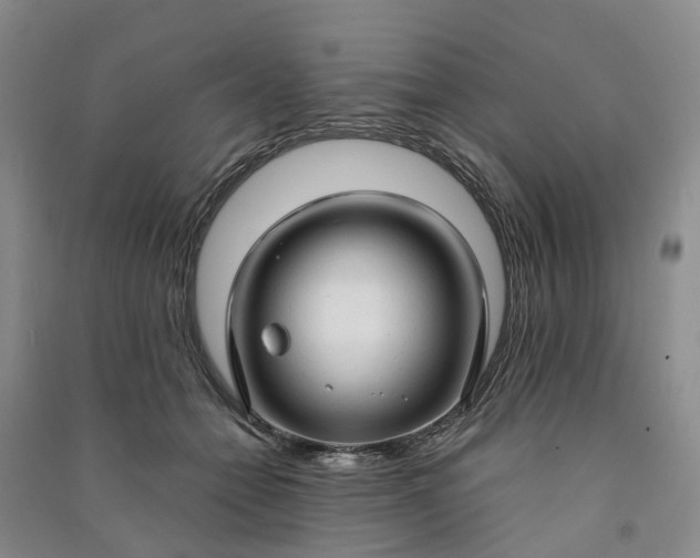 X0000090960558200708161818