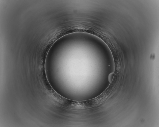 X0000090960559200708161818
