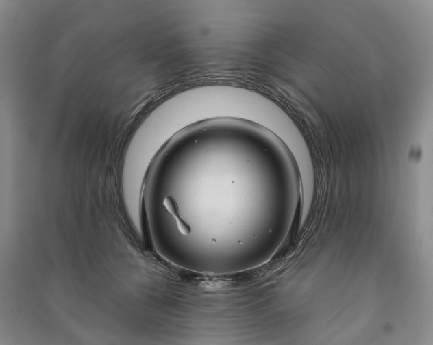 X0000090960560200708161818