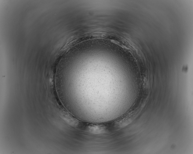 X0000090960561200708161818