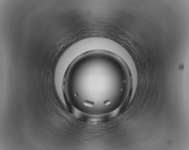 X0000090960564200708161818