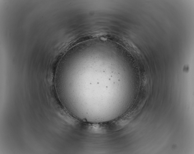 X0000090960565200708161818