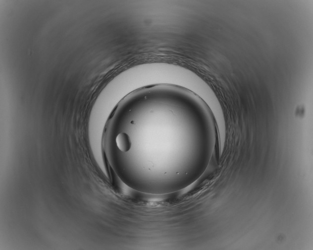 X0000090960566200708161818