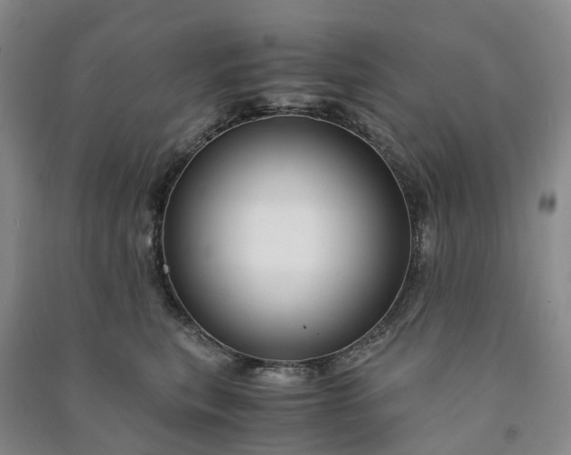 X0000090960567200708161818