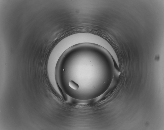 X0000090960568200708161818