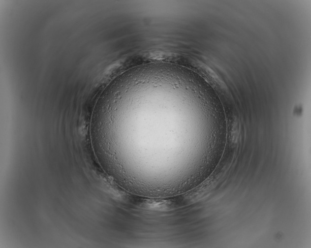 X0000090960569200708161818