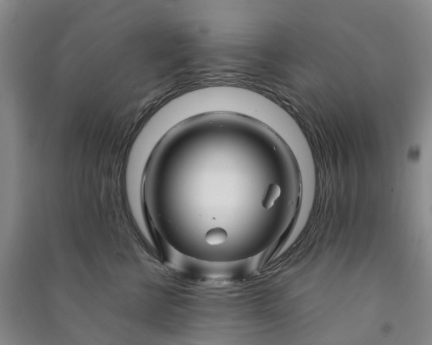 X0000090960570200708161818
