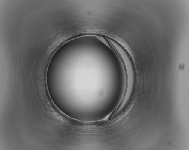 X0000090960577200708161817
