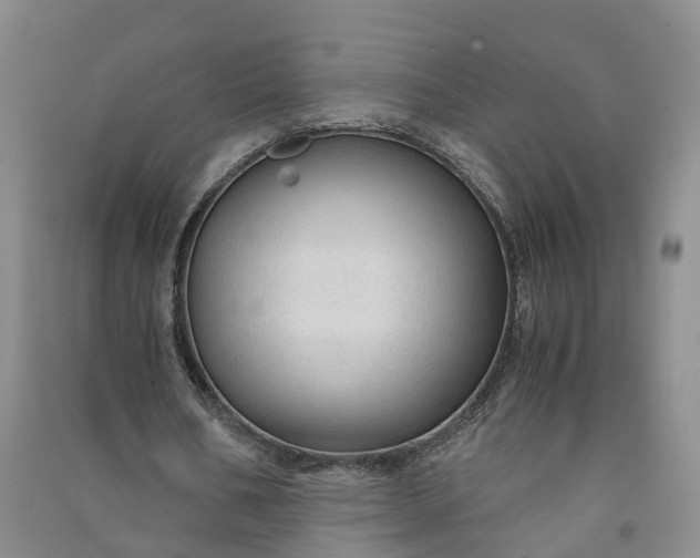 X0000090960578200708161817