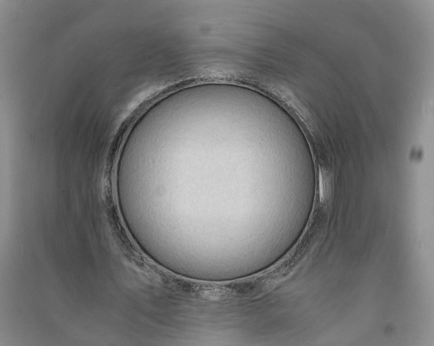 X0000090960579200708161817