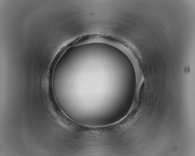 X0000090960580200708161817