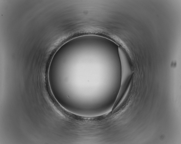 X0000090960581200708161817