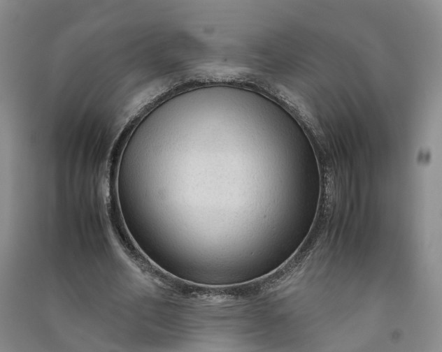 X0000090960582200708161817