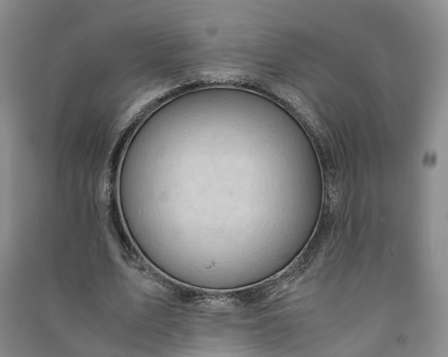 X0000090960583200708161817