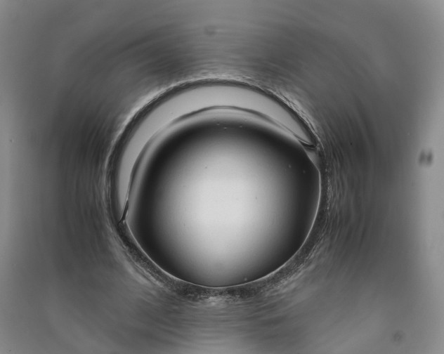 X0000090960584200708161817