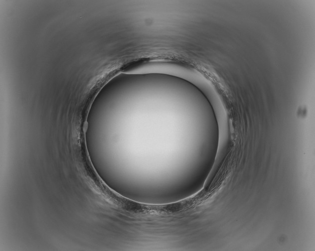 X0000090960585200708161817
