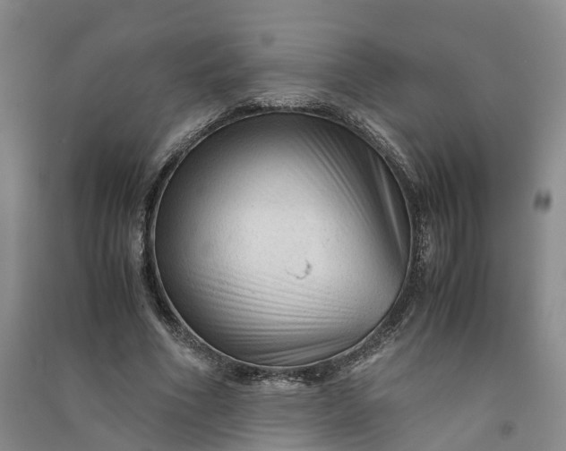 X0000090960586200708161817