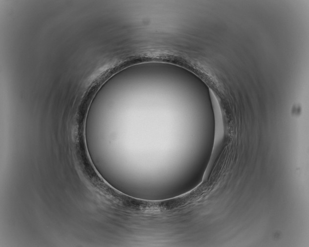 X0000090960587200708161817