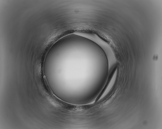X0000090960589200708161817