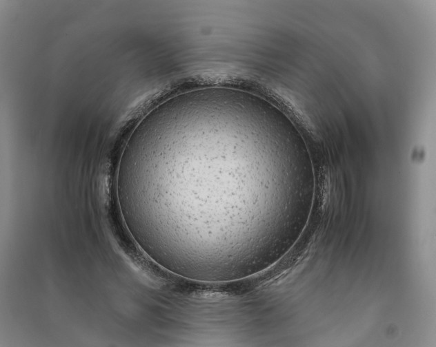 X0000090960590200708161817