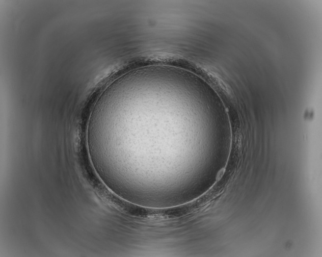 X0000090960591200708161817