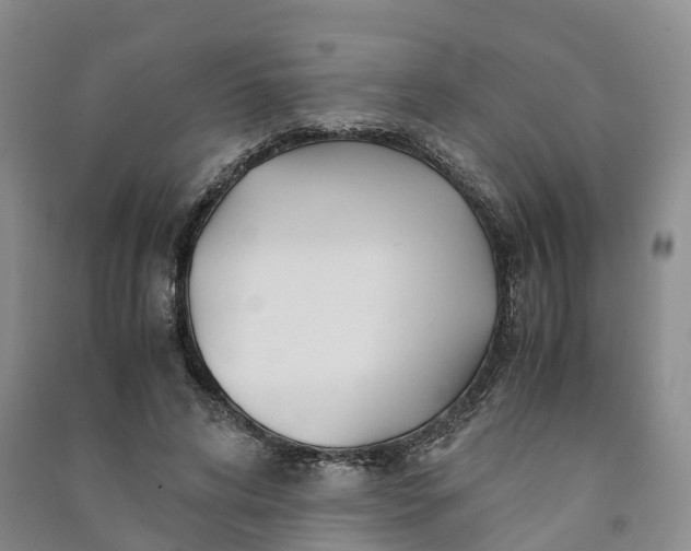 X0000090960592200708161817