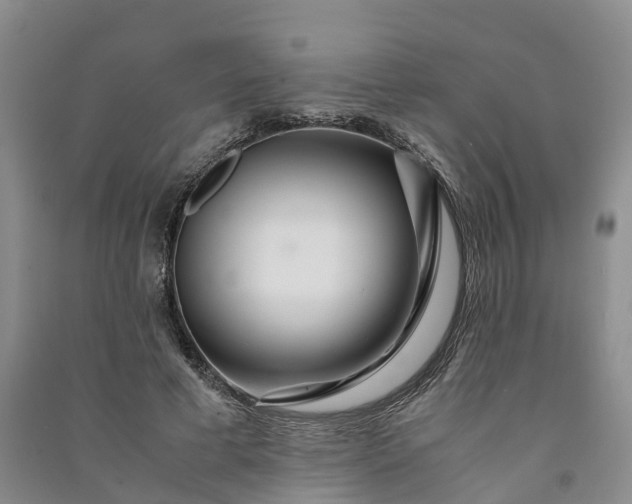 X0000090960593200708161817