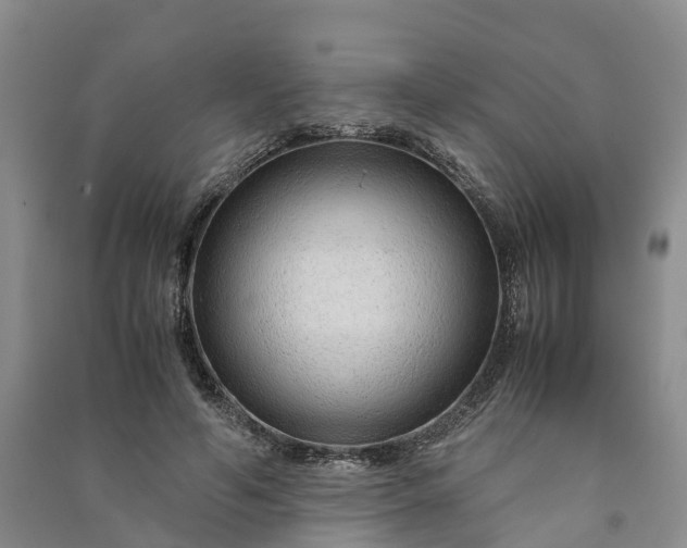 X0000090960594200708161817