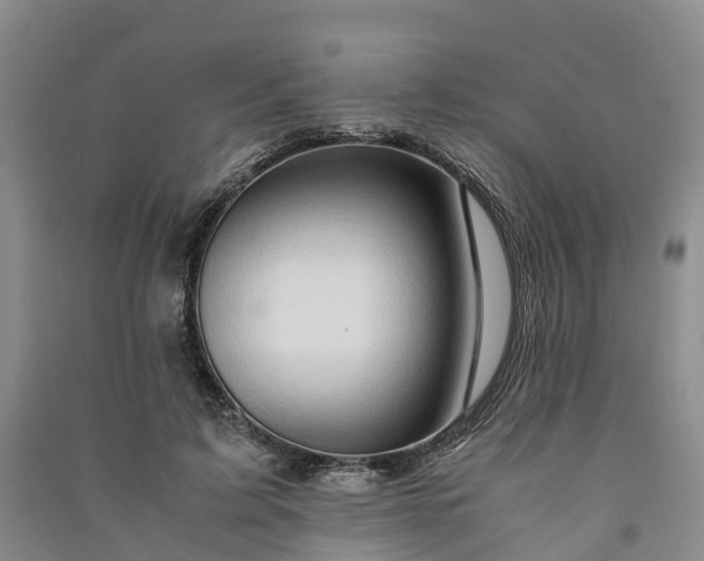 X0000090960595200708161817