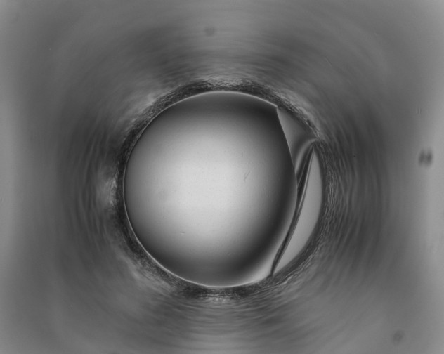 X0000090960596200708161817