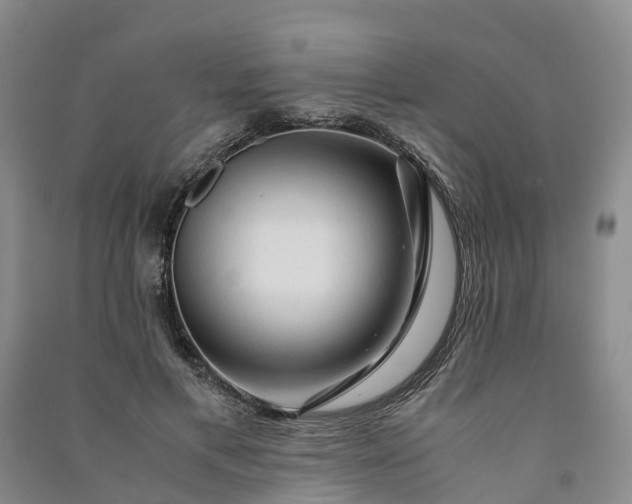 X0000090960597200708161817
