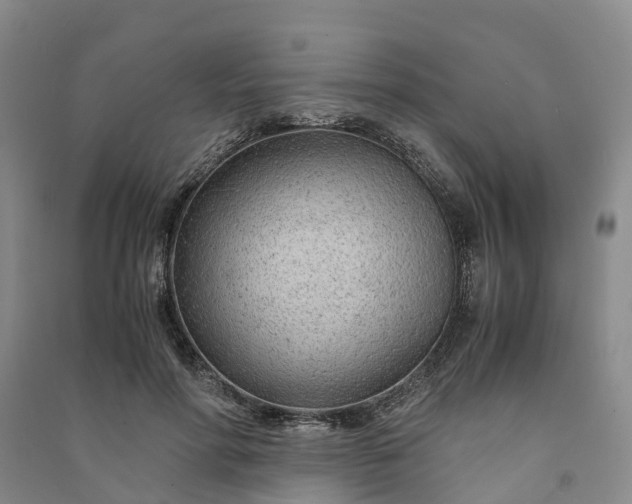 X0000090960598200708161817