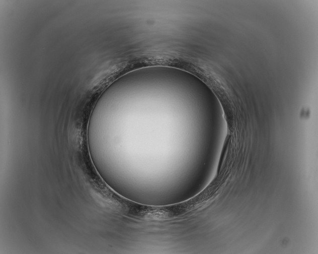 X0000090960599200708161817