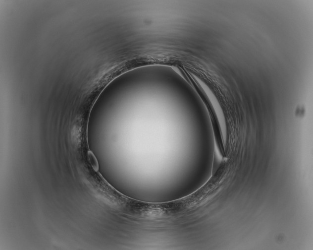 X0000090960600200708161817