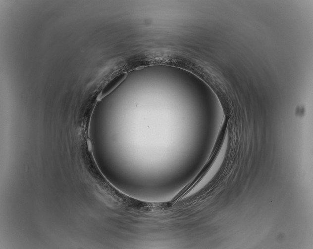X0000090960601200708161817