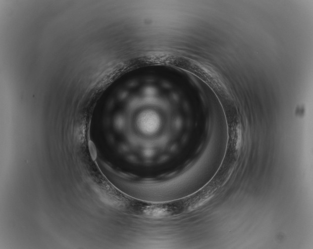 X0000090960602200708161817