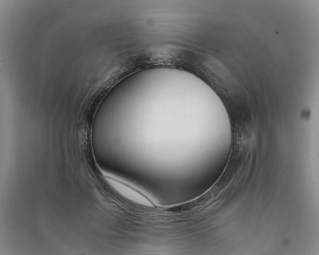 X0000090960603200708161817