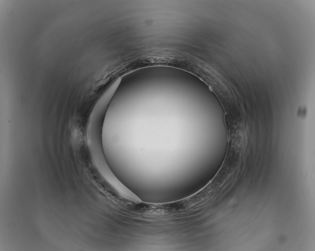 X0000090960604200708161817