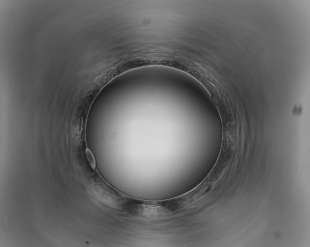 X0000090960605200708161817