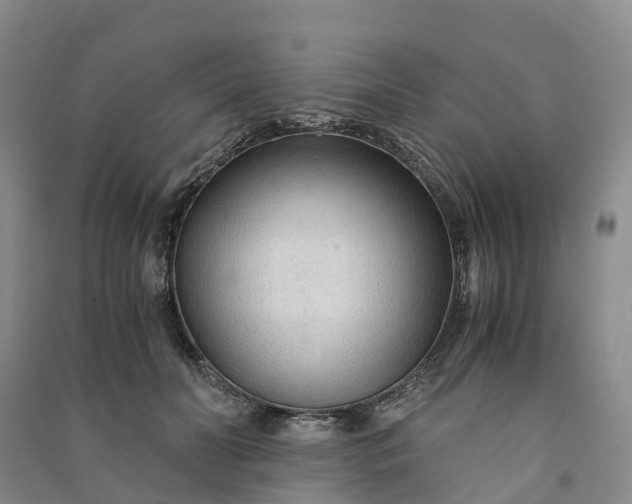 X0000090960606200708161817