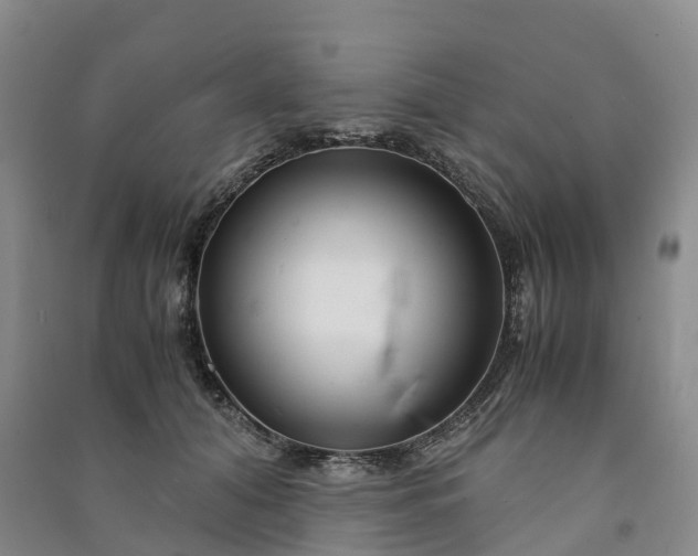 X0000090960608200708161817