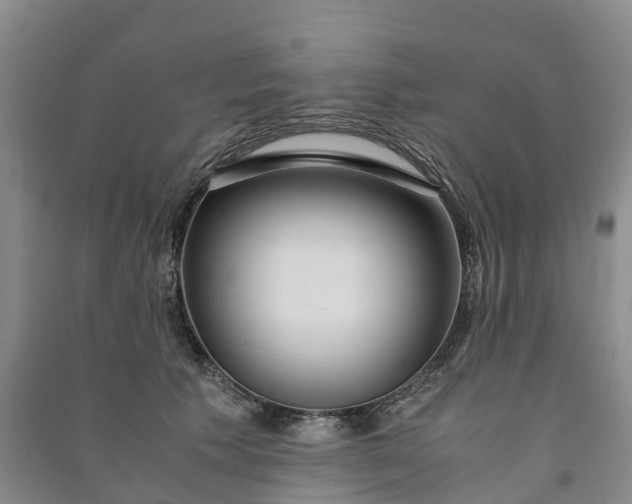 X0000090960609200708161817