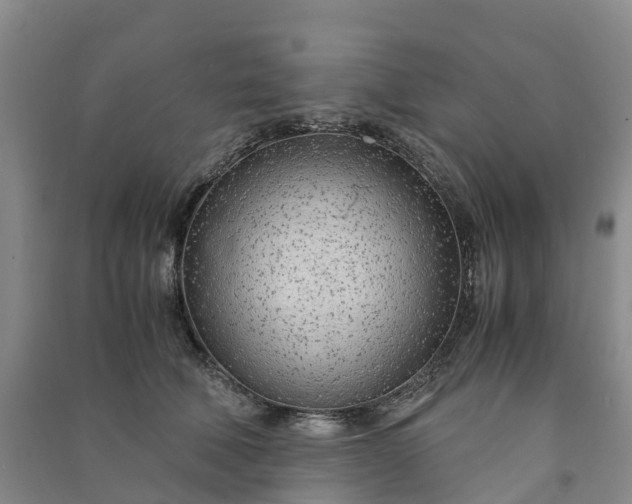 X0000090960610200708161817