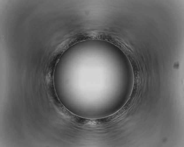 X0000090960611200708161817