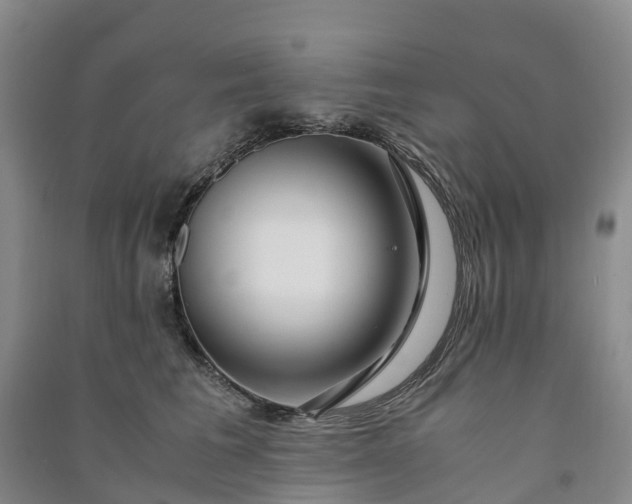 X0000090960613200708161817