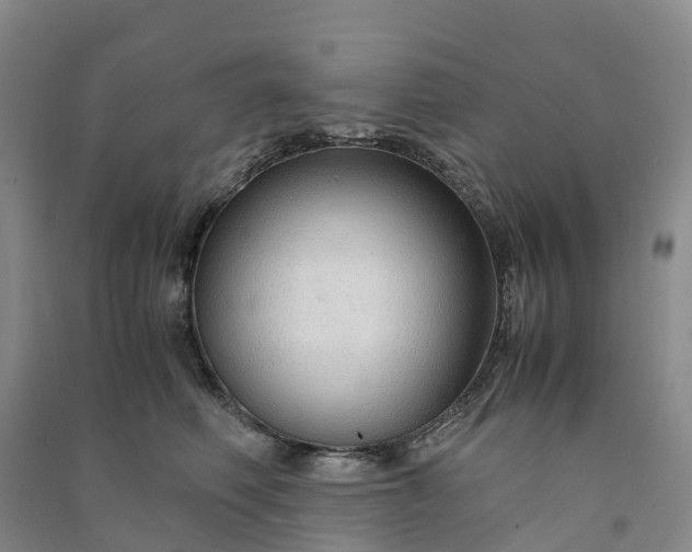 X0000090960614200708161817