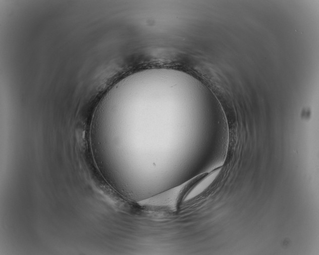 X0000090960615200708161817