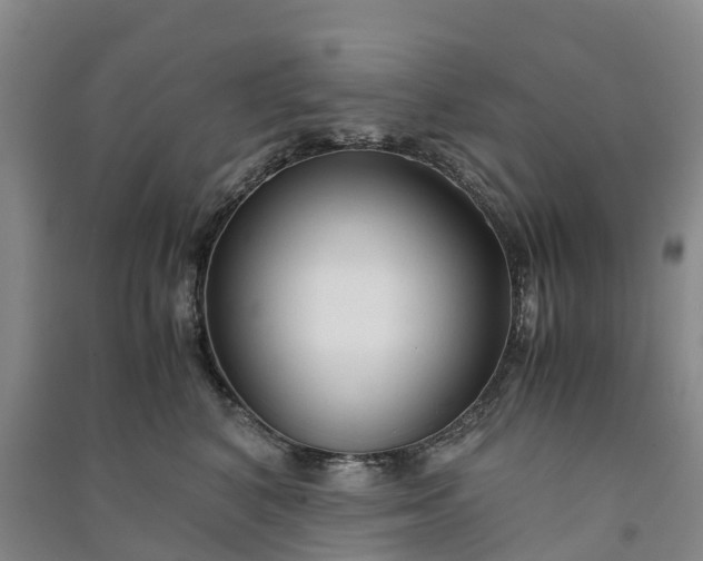 X0000090960616200708161817